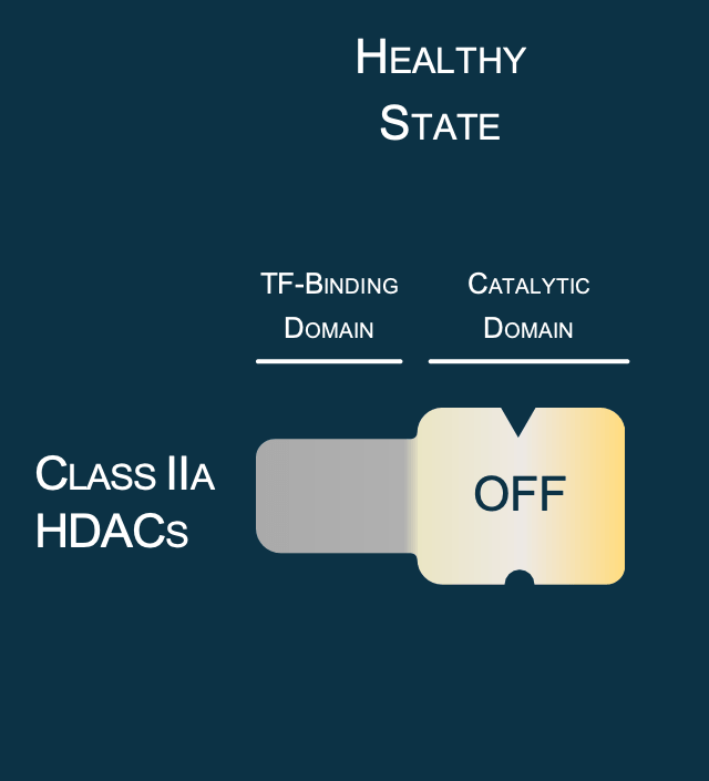 Class IIa HDACs support healthy cellular function