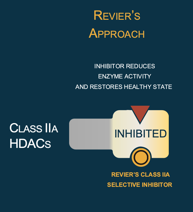 Selective inhibition offers a new therapeutic approach