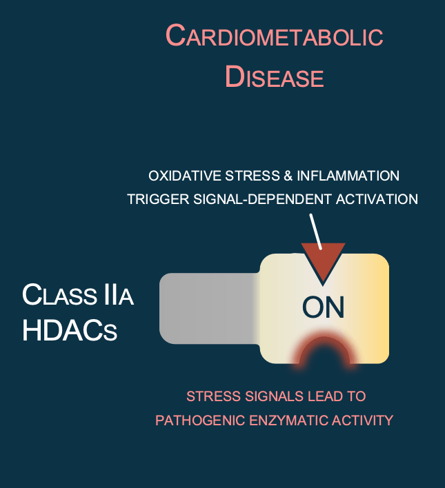 Stress signals switch on pathogenic activity